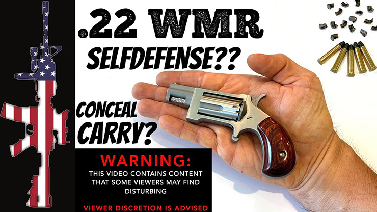 22 WMR For Self Defense