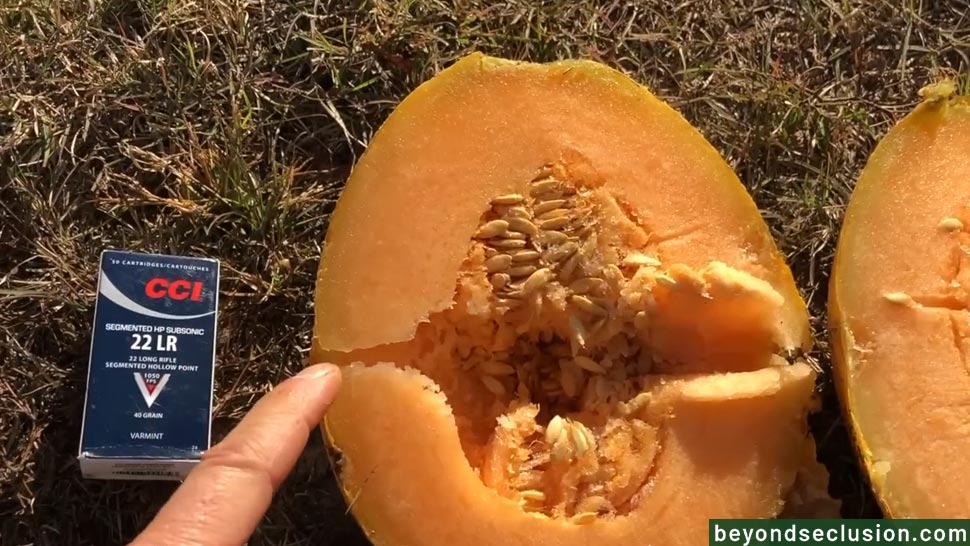 The Melon-shooting Test with 22 LR 40-Grain Subsonic