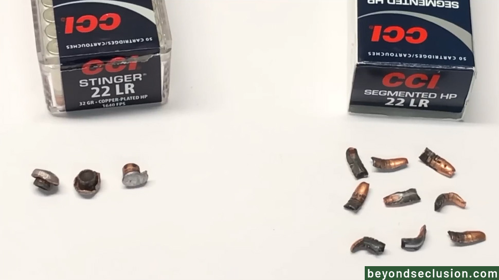 CCI 22 LR Stinger & 22 LR Segmented HP