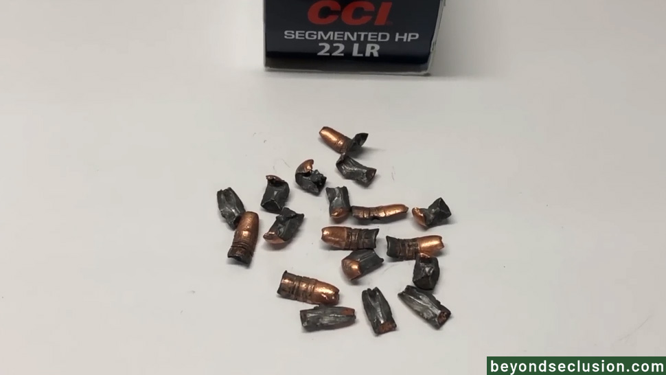 CCI 22 LR Segmented Hollow Point