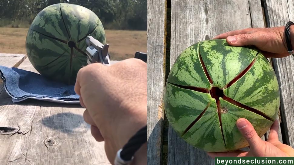 Shooting Watermelon With 22 WMR Ammo