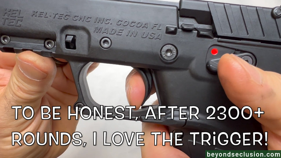A P17's Trigger - Up-Close