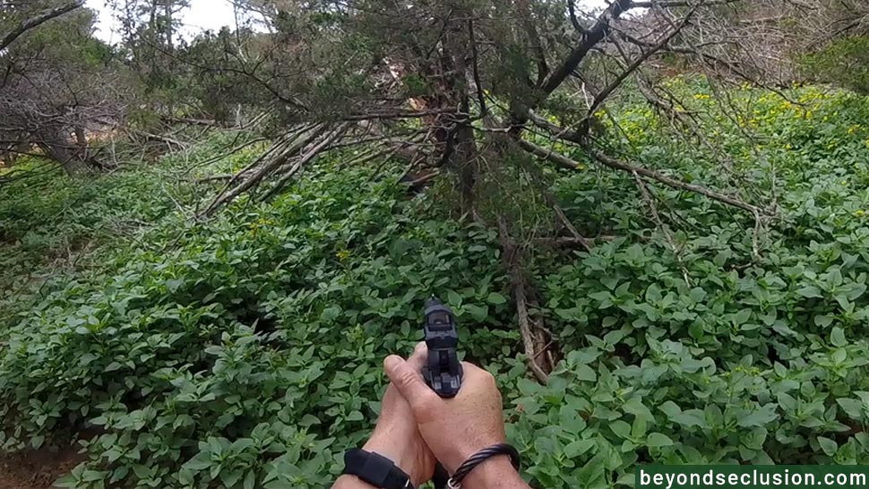 Hog Hunting with The Springfield Prodigy 9mm